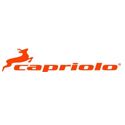 Capriolo